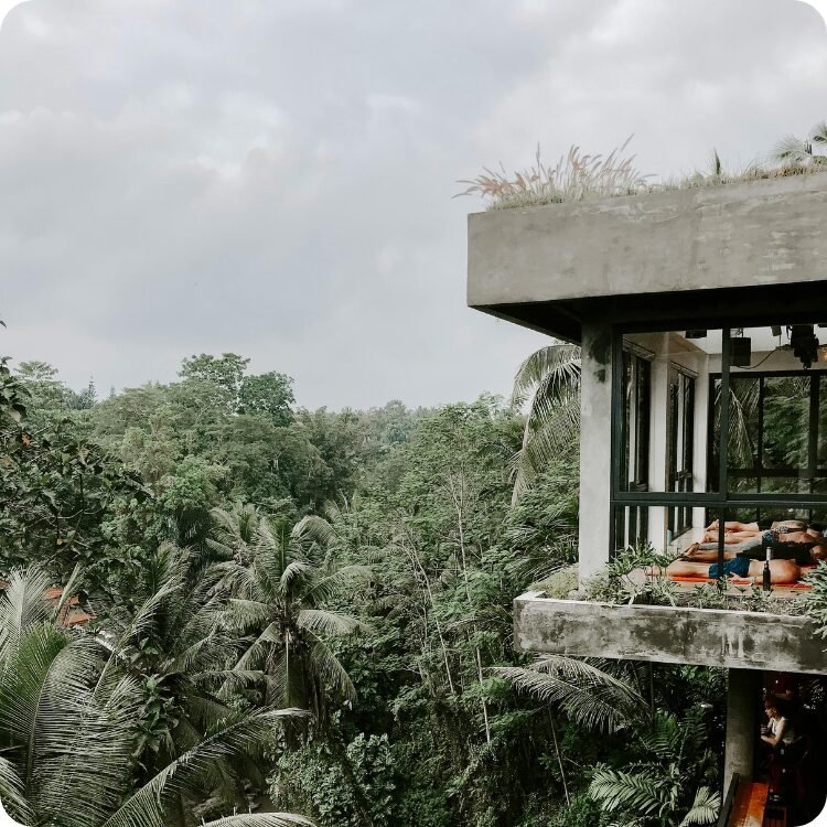 Promising Future Of Biophilic Design